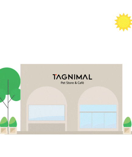 Tagnimal Pet Store Bangkok Thailand