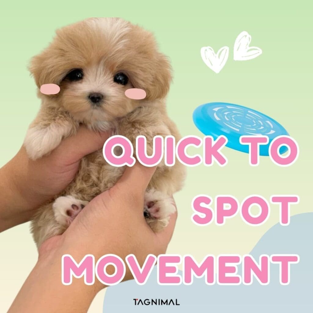 Quick to Spot Movement