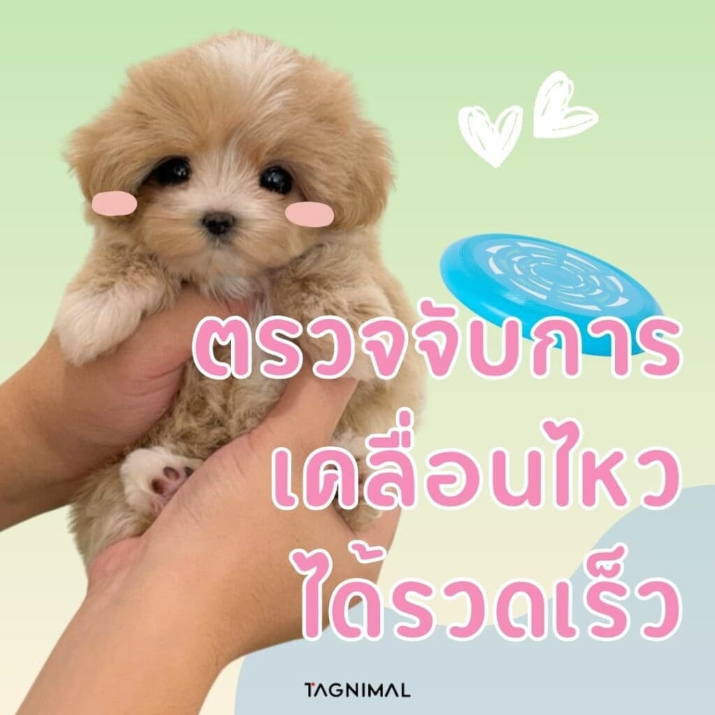 ตรวจจับการเคลื่อนไหวได้รวดเร็ว