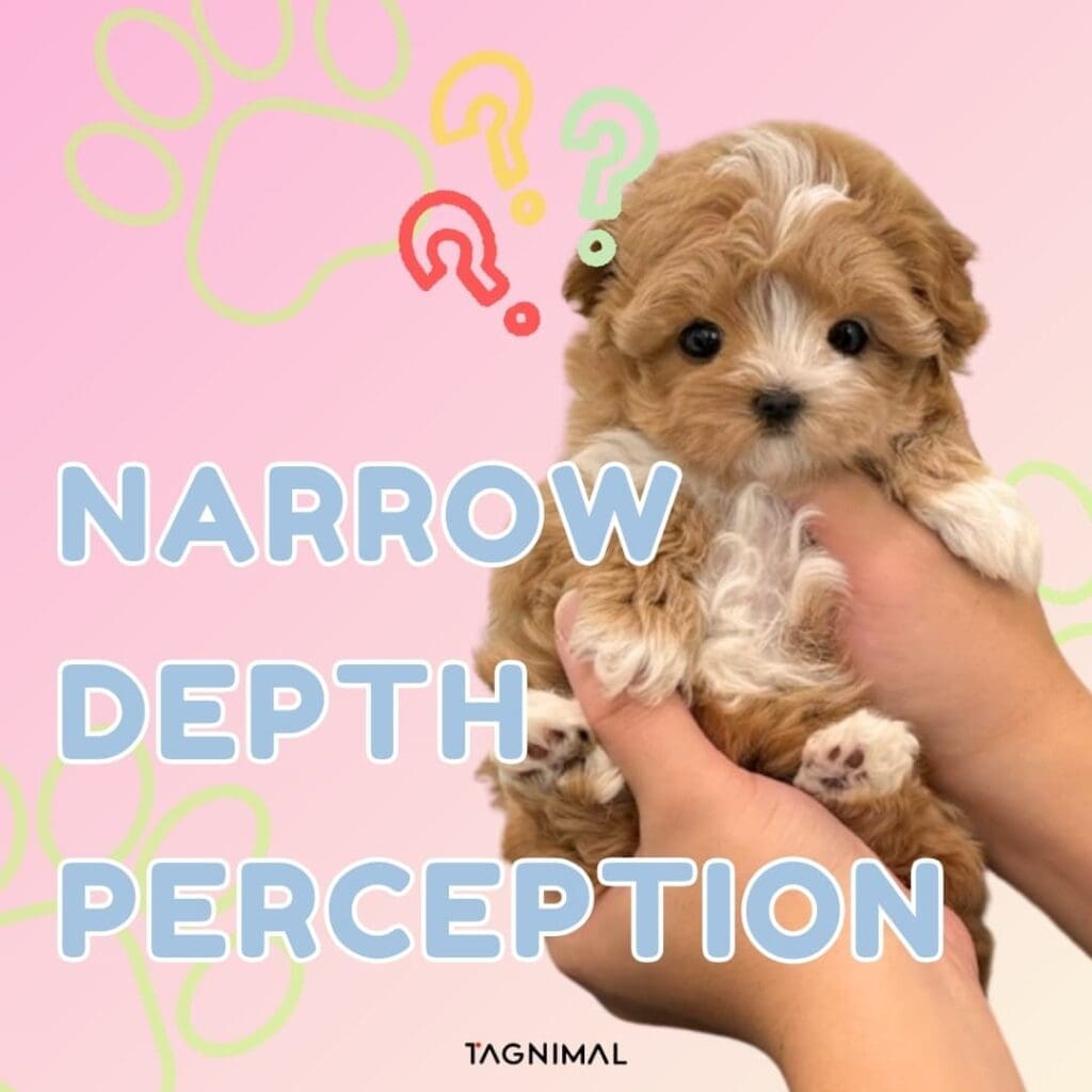 Narrow Depth Perception