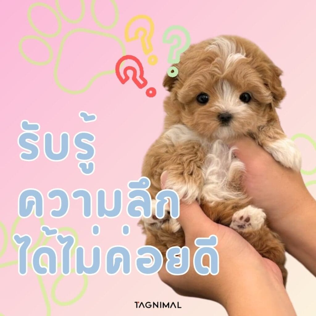 การรับรู้ความลึกได้ไม่ค่อยดี