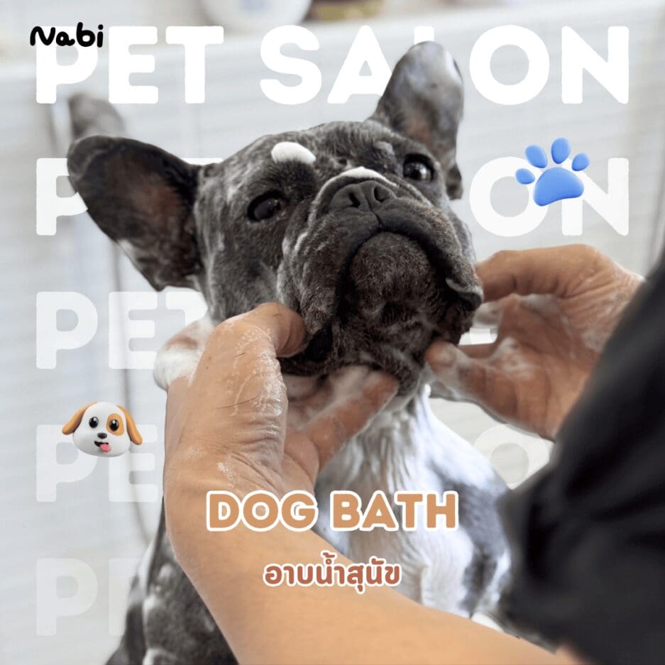 Tagnimal Nabi Pet Salon Dog Bath