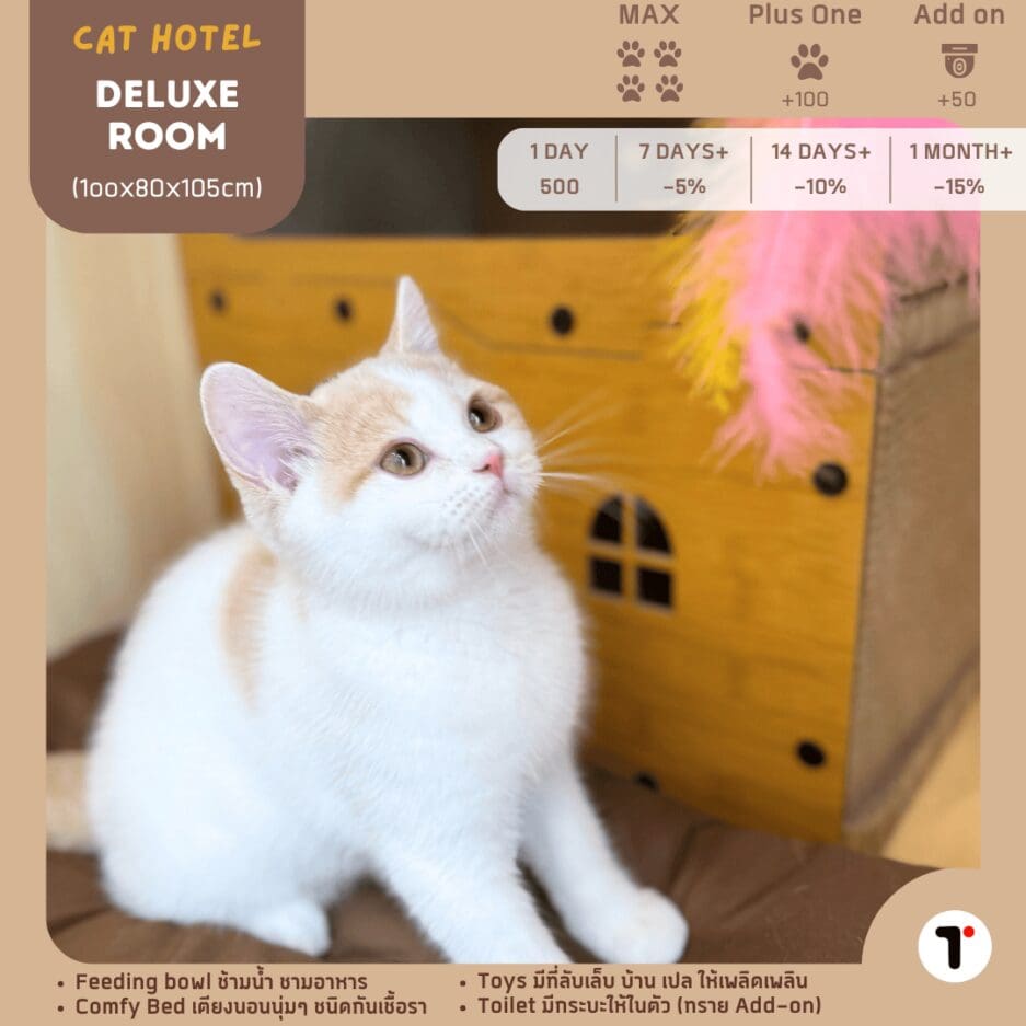 Tagnimal Nabi Cat Hotel Deluxe Room