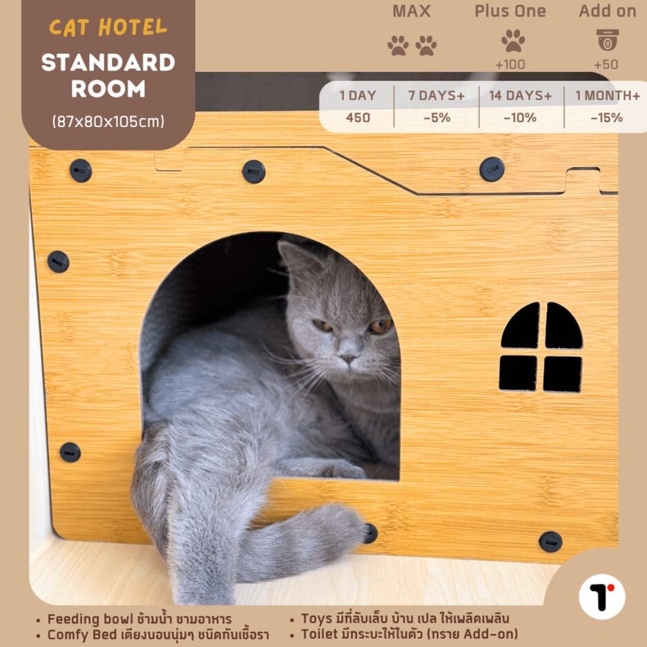 Tagnimal Nabi Cat Hotel Standard Room