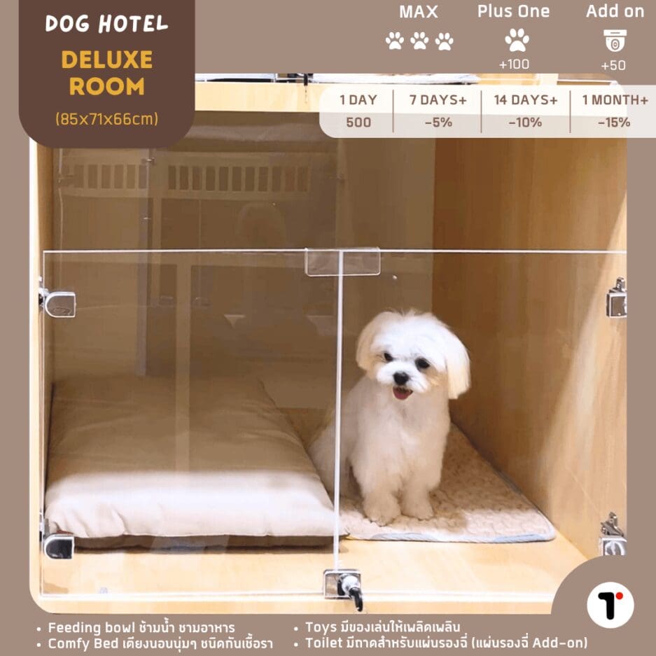 Tagnimal Nabi Pet Hotel Deluxe Room